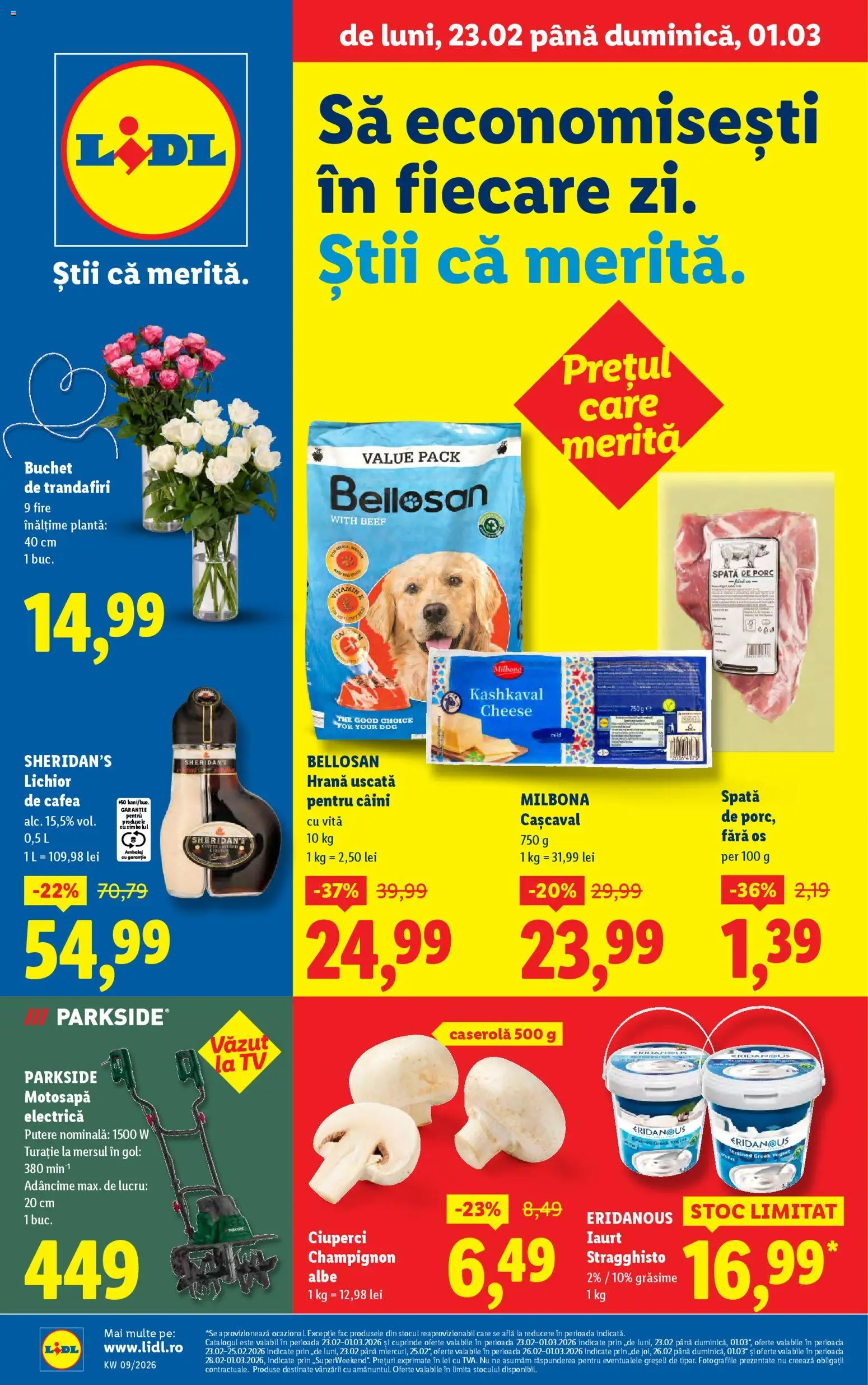 Lidl Page 1